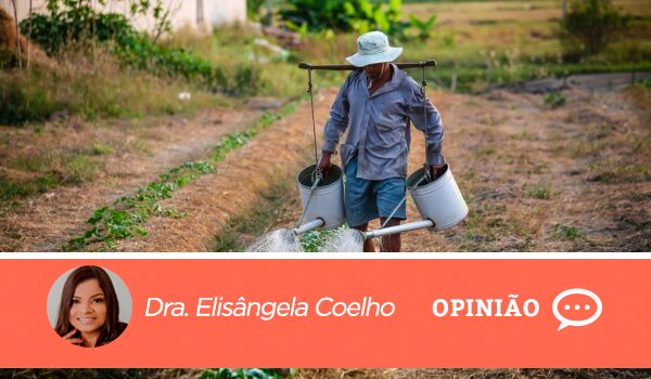 5 documentos para o trabalhador rural usar no INSS | Opinião | Dra. Elisângela Coelho